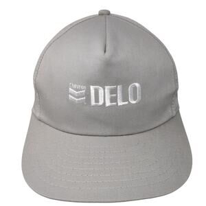 Chevron Delo Snapback Hat Gray One Size Solid Adjustable Embroidered